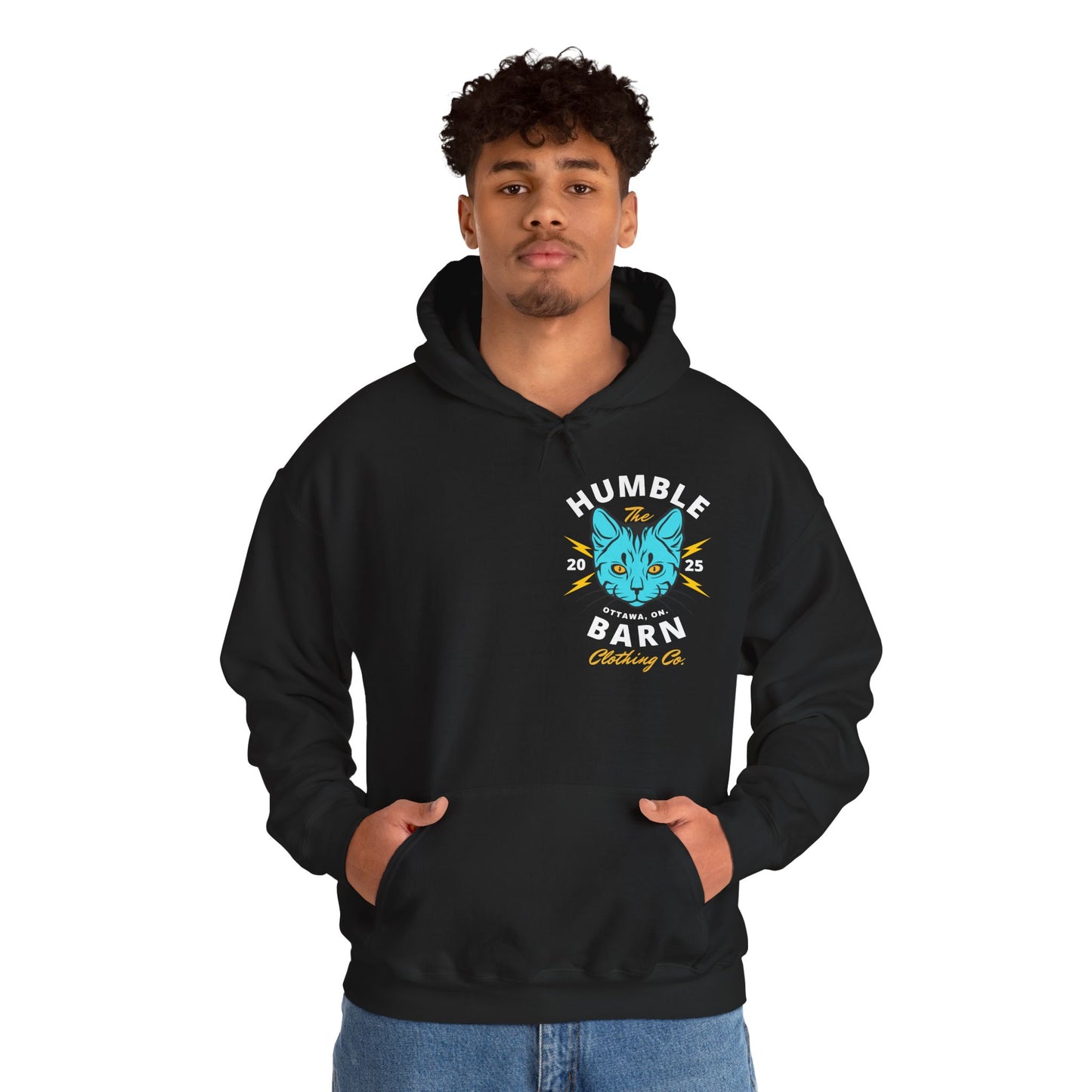 ELECTRIC BARN CAT HOODIE