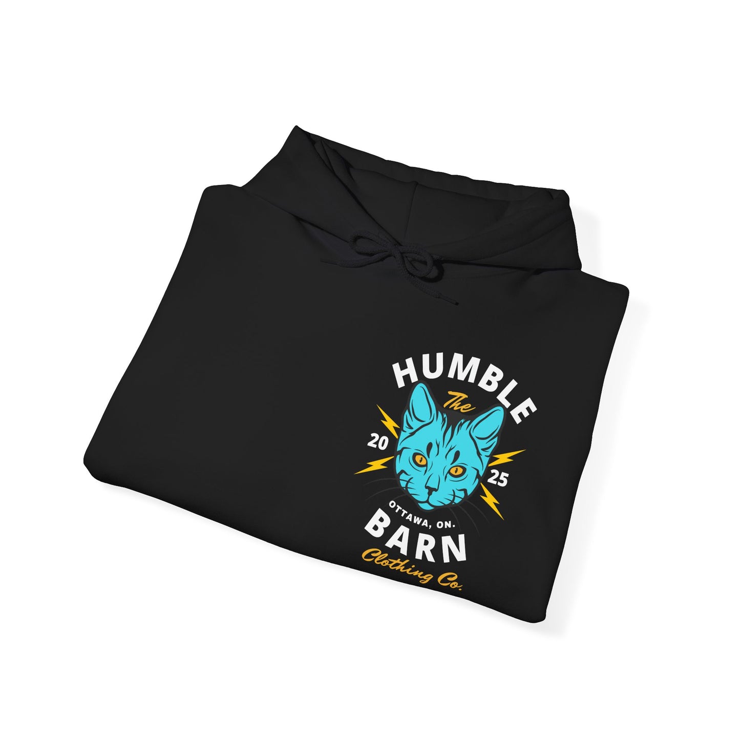 ELECTRIC BARN CAT HOODIE